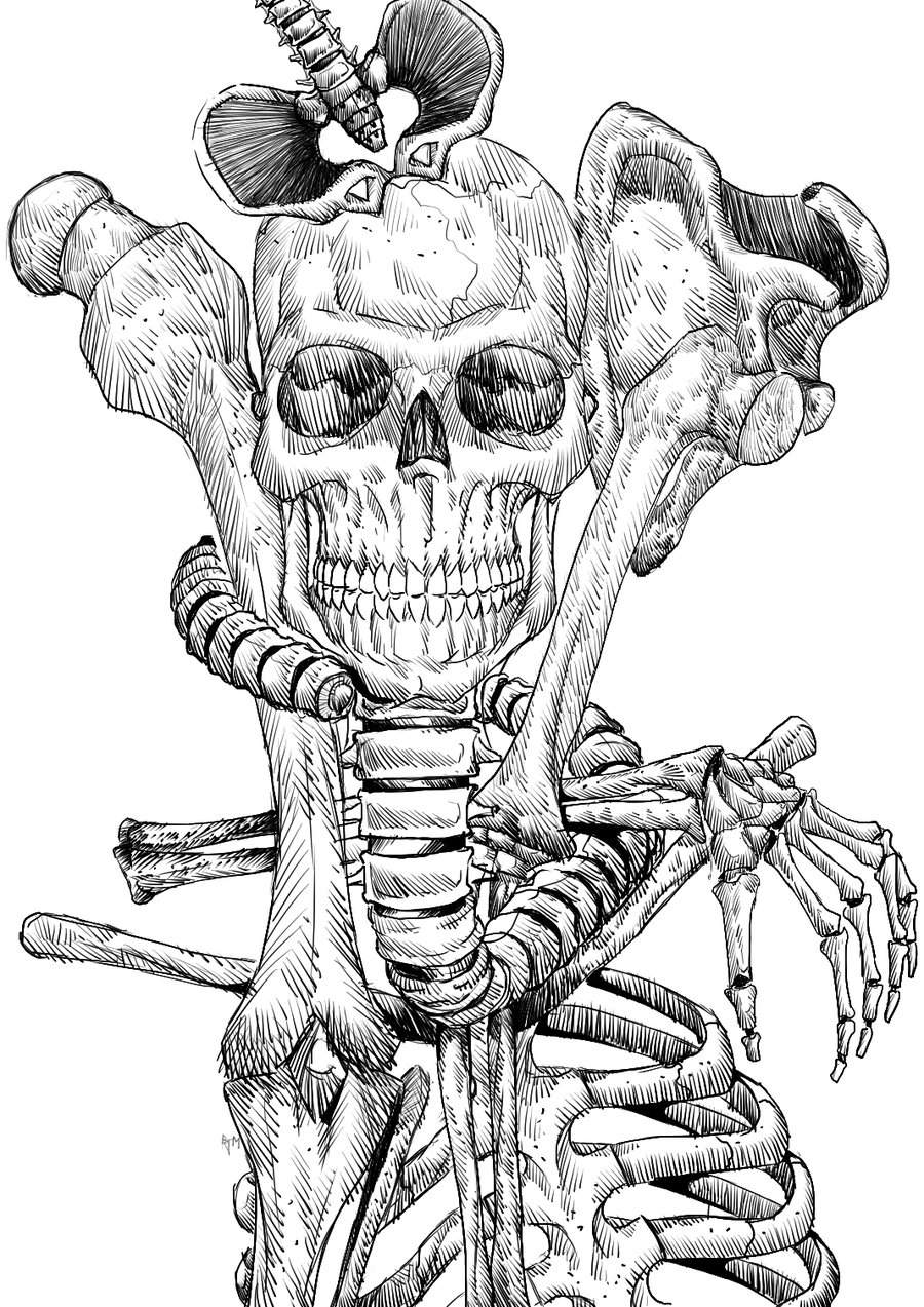 Skeletal System Drawing at GetDrawings Free download