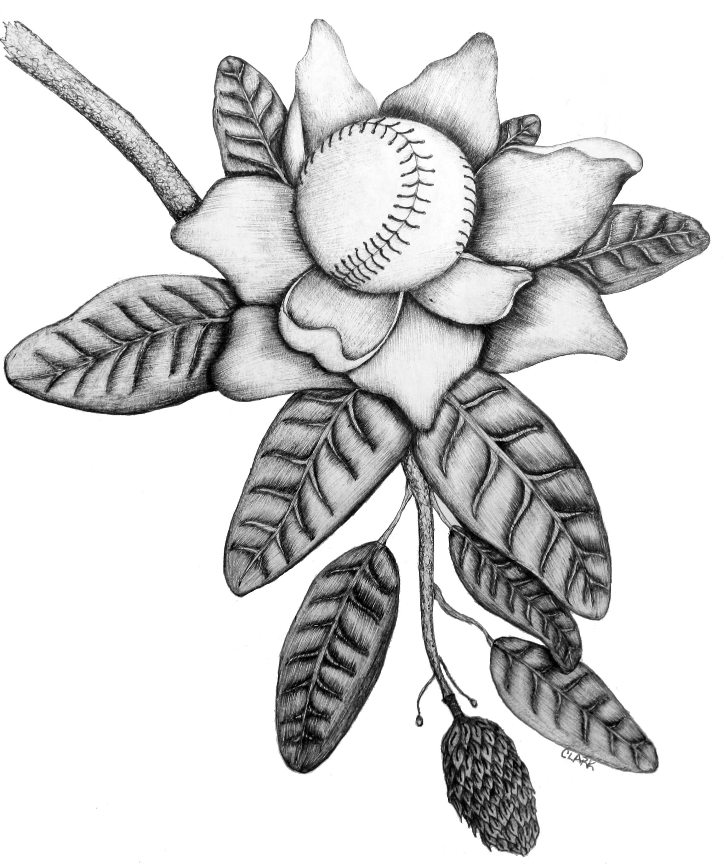 Softball Drawing at GetDrawings Free download