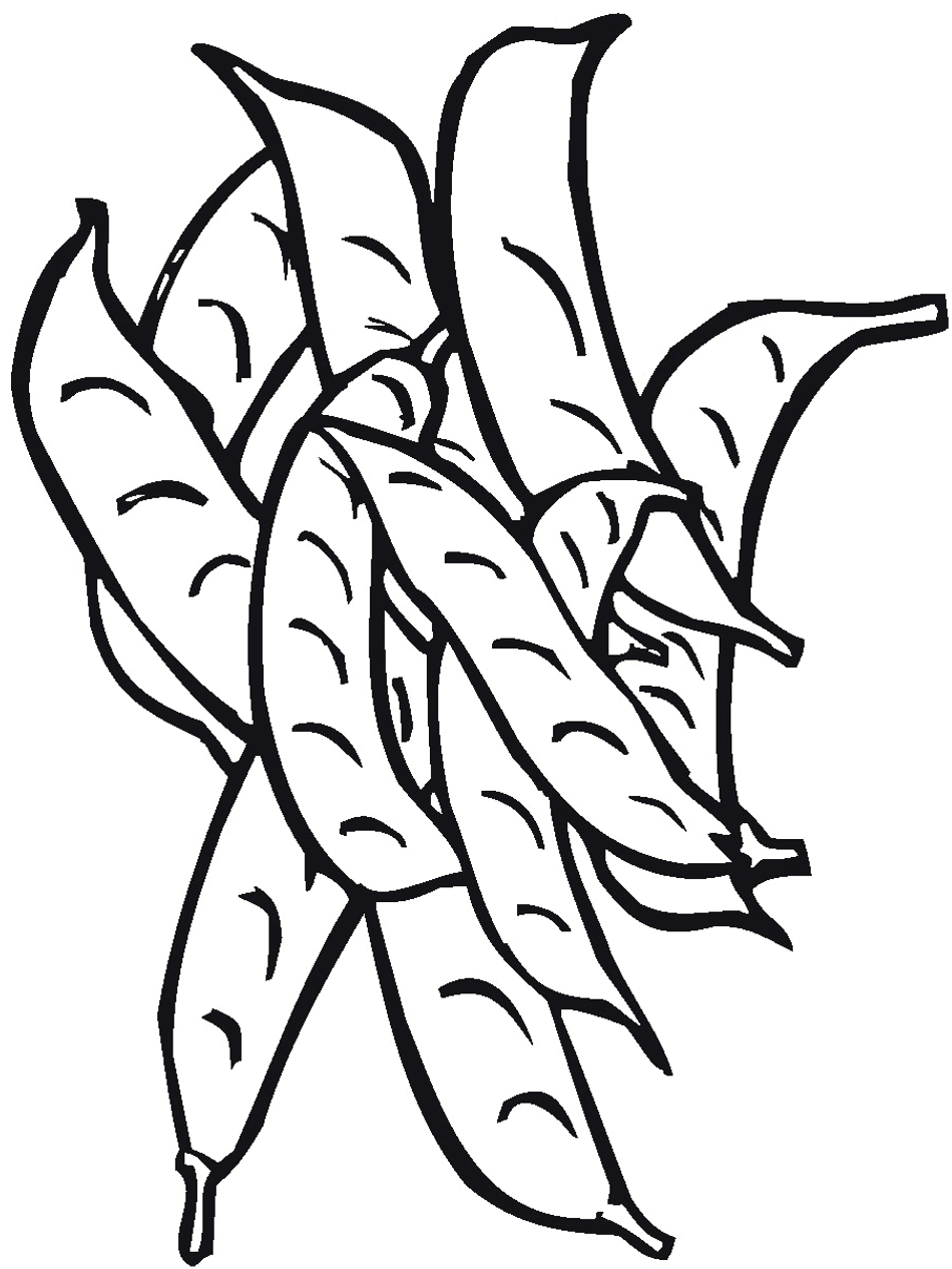 String Beans Drawing at GetDrawings Free download