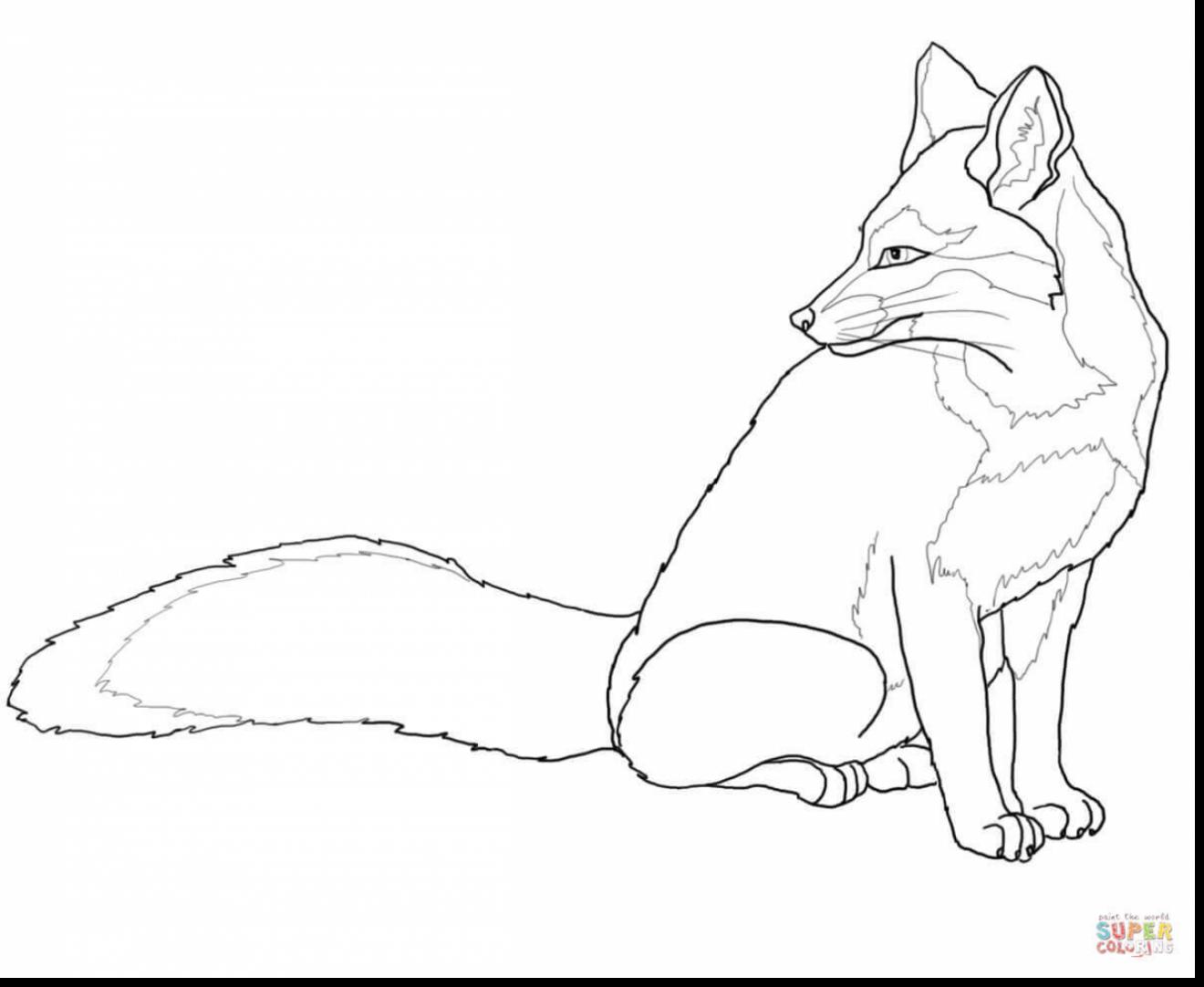 Mammals Foxes Bat Eared Fox Coloring Pages Coloring Pages