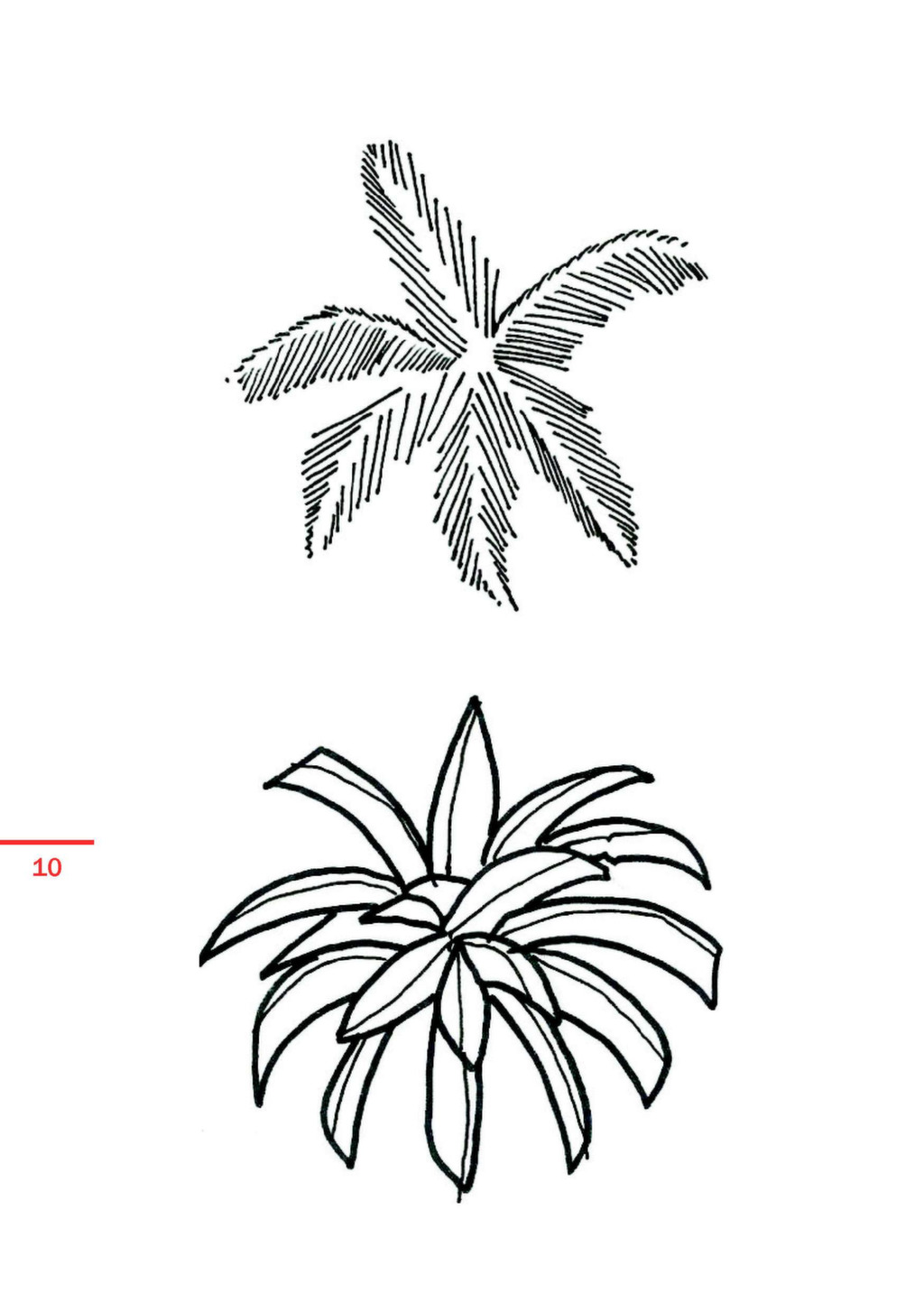 Tree Plan Drawing at GetDrawings Free download