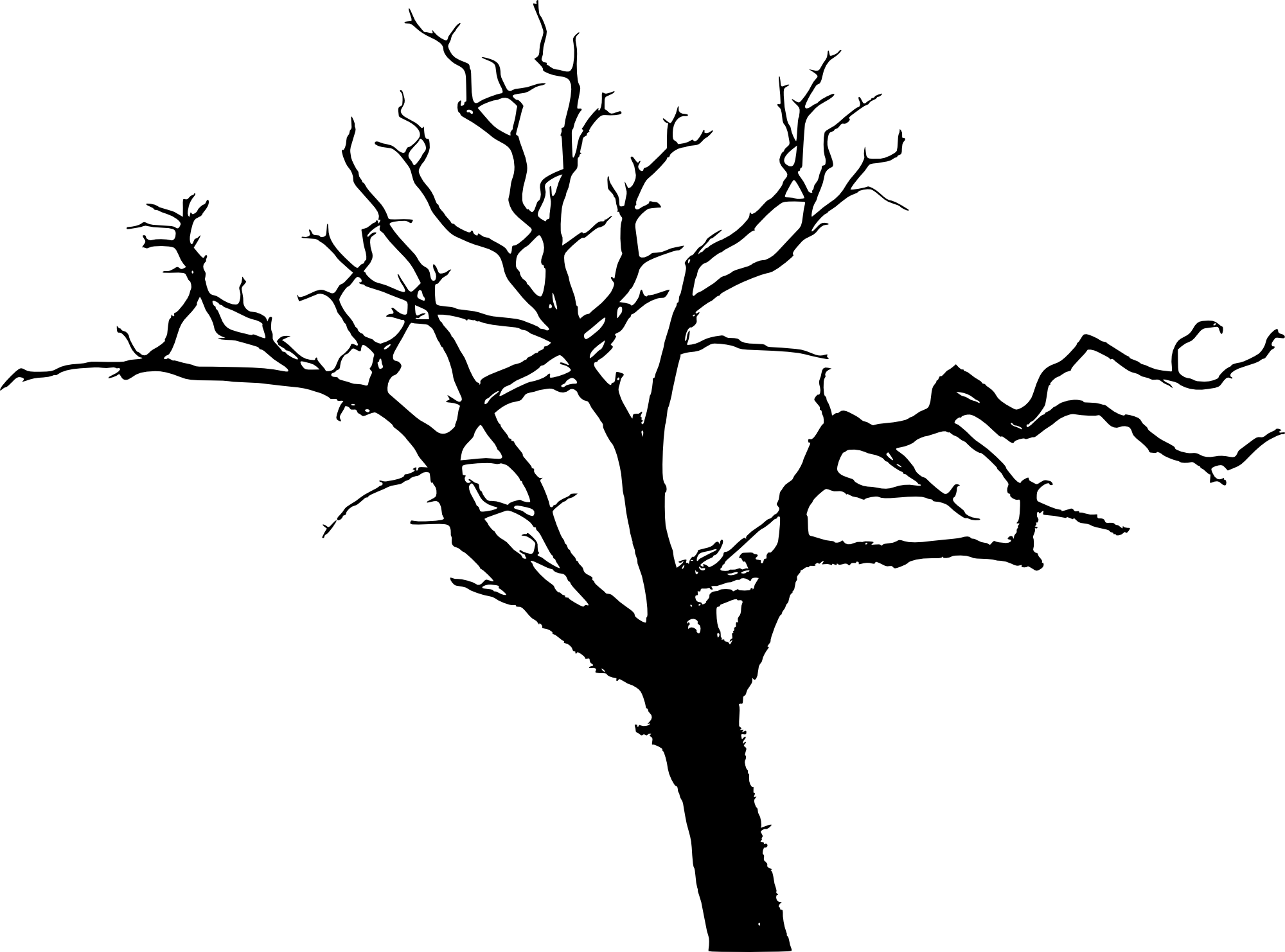 Tree Silhouette Drawing at GetDrawings Free download