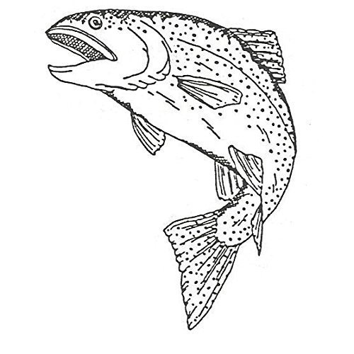 Trout Drawing at GetDrawings Free download