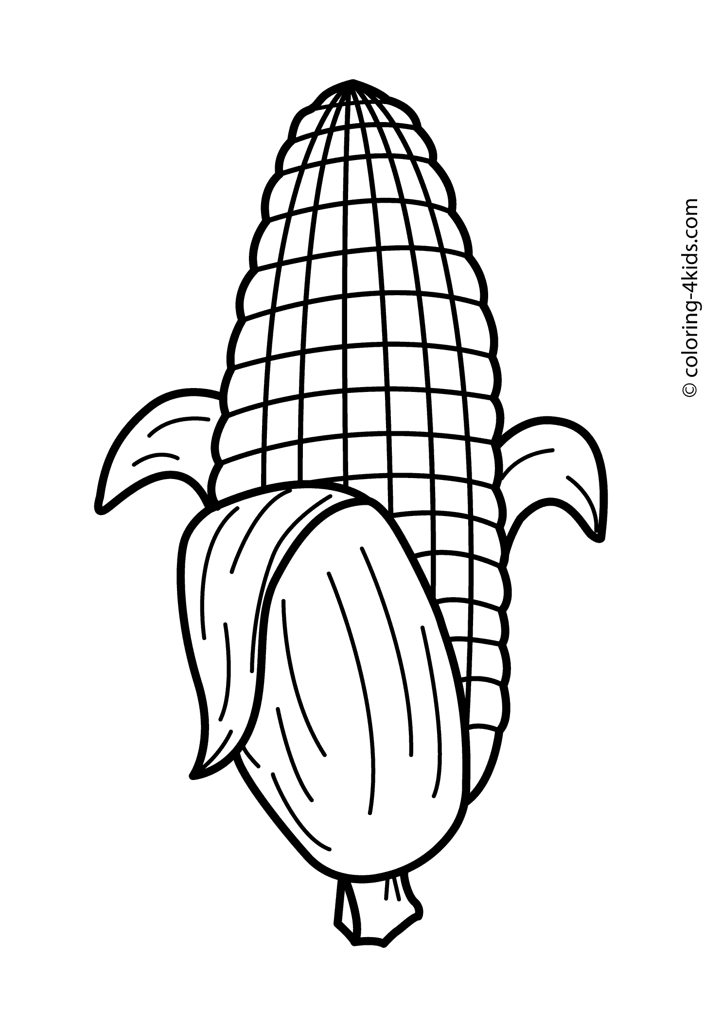 Vegetable Drawing at GetDrawings Free download