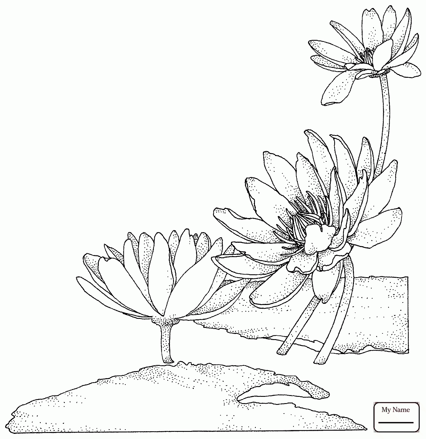 Water Effect Drawing at GetDrawings Free download