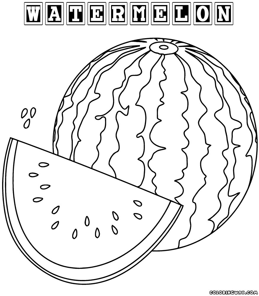 Watermelon Drawing at GetDrawings Free download