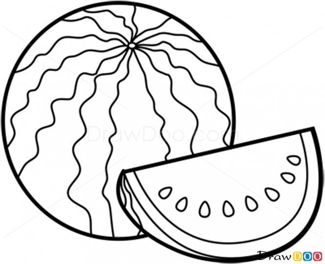 Watermelon Drawing at GetDrawings Free download