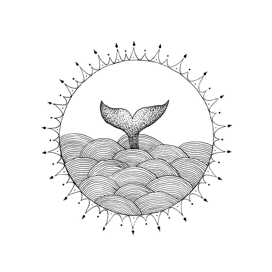 Simple Wave Drawing at Explore