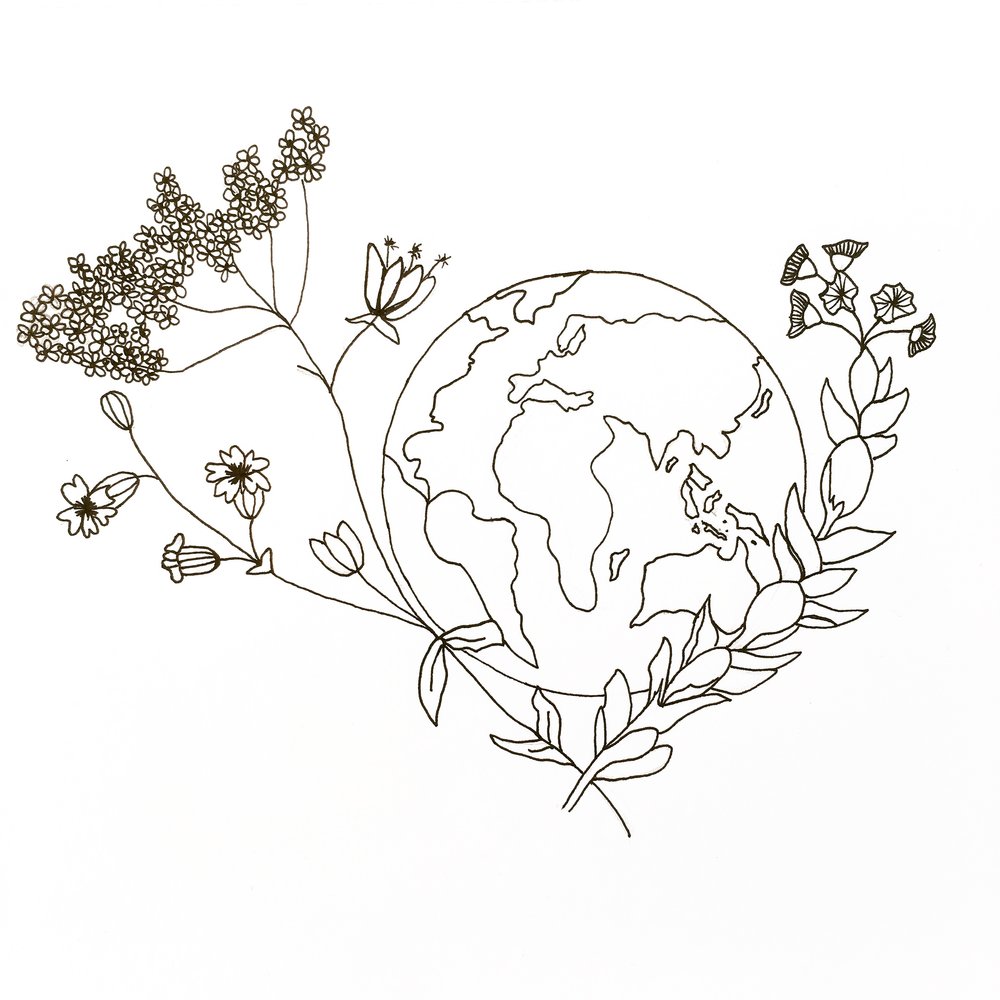 Wildflower Bouquet Drawing at GetDrawings Free download