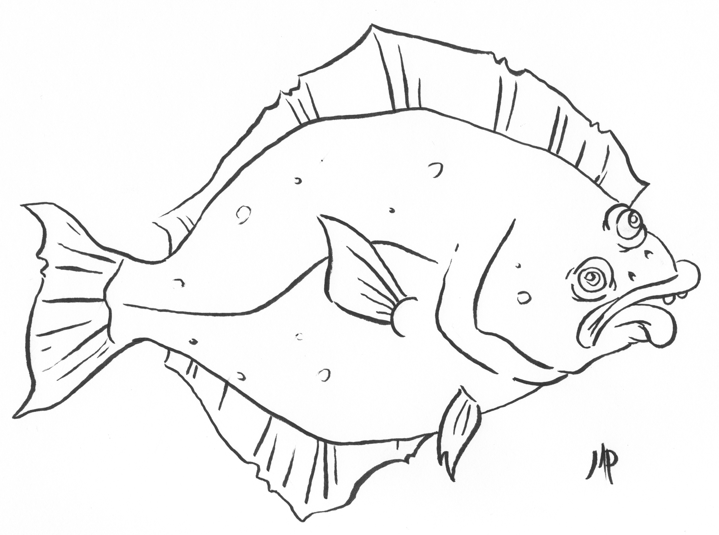 Halibut Drawing at GetDrawings Free download