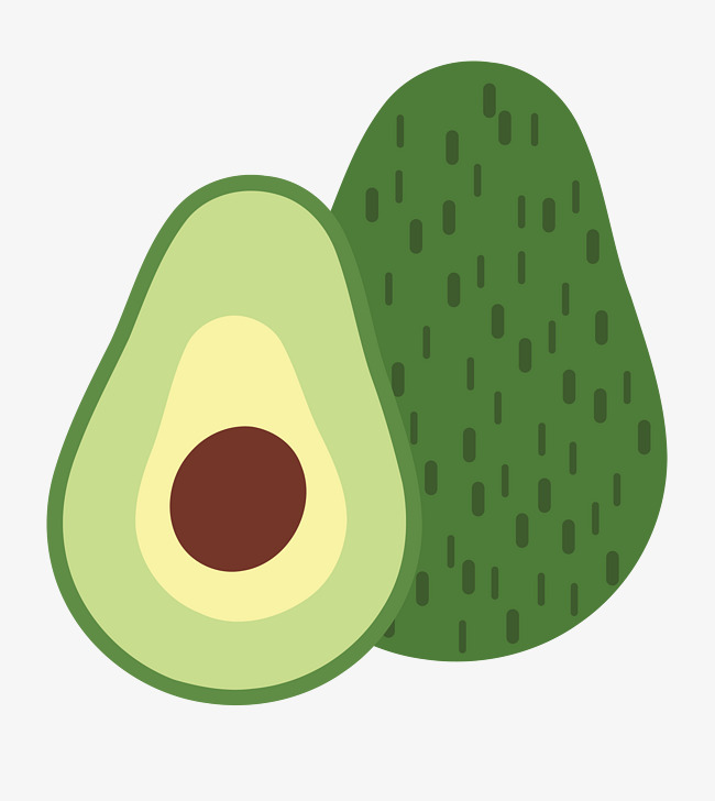 Avocado Vector at GetDrawings Free download
