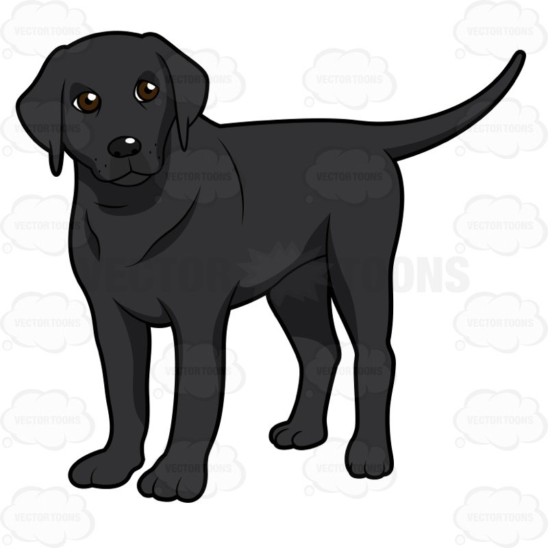 Black Lab Vector at GetDrawings Free download
