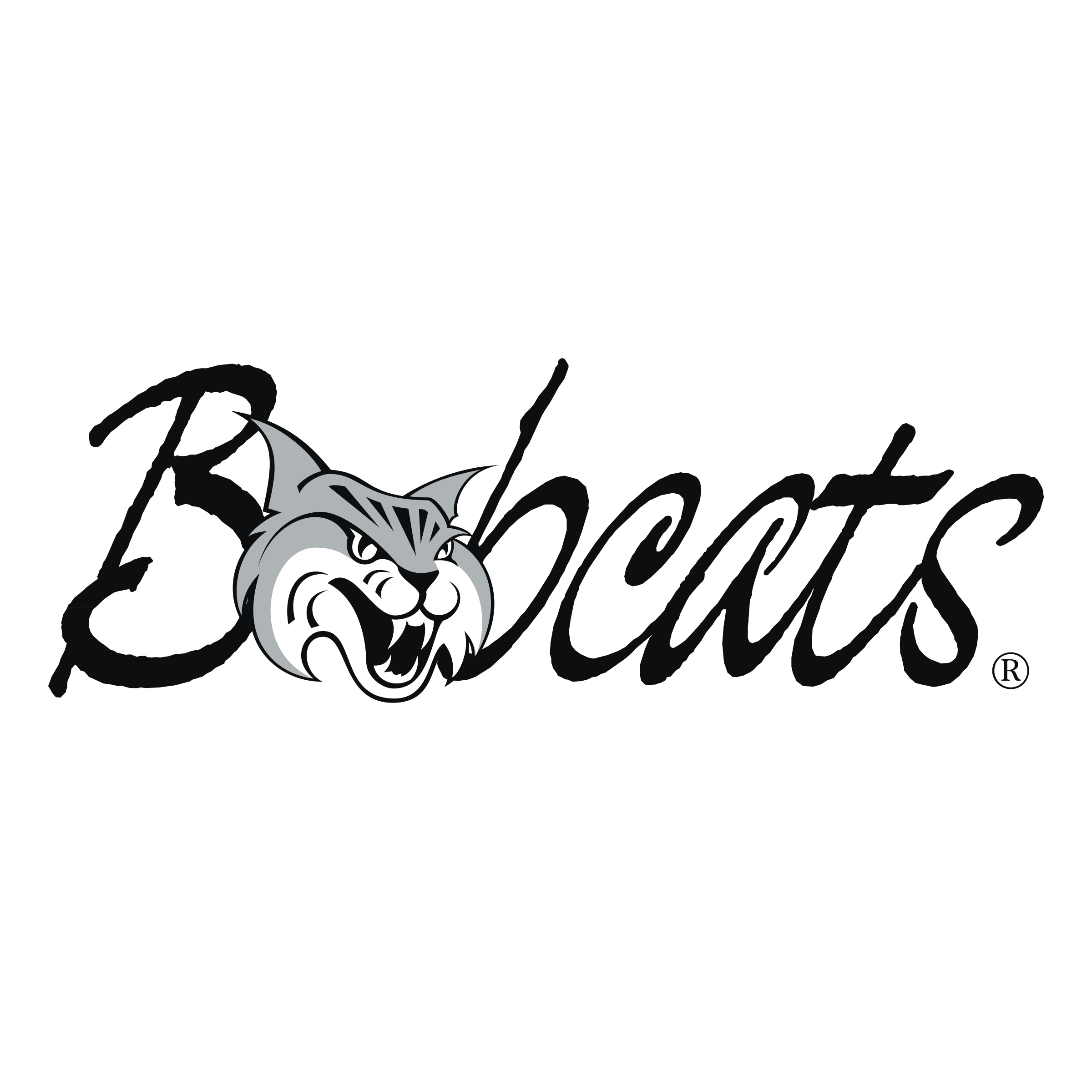 Bobcat Logo Vector at GetDrawings Free download