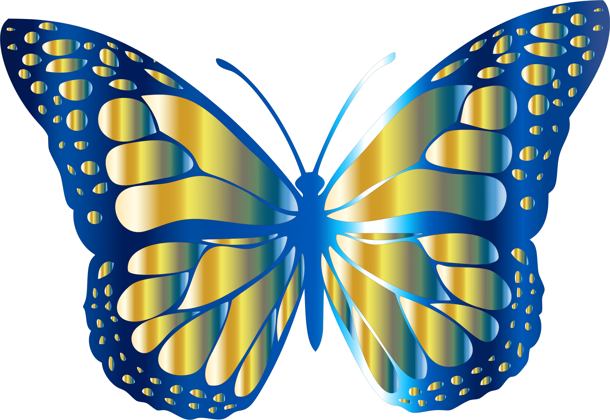 Butterfly Vector at GetDrawings Free download