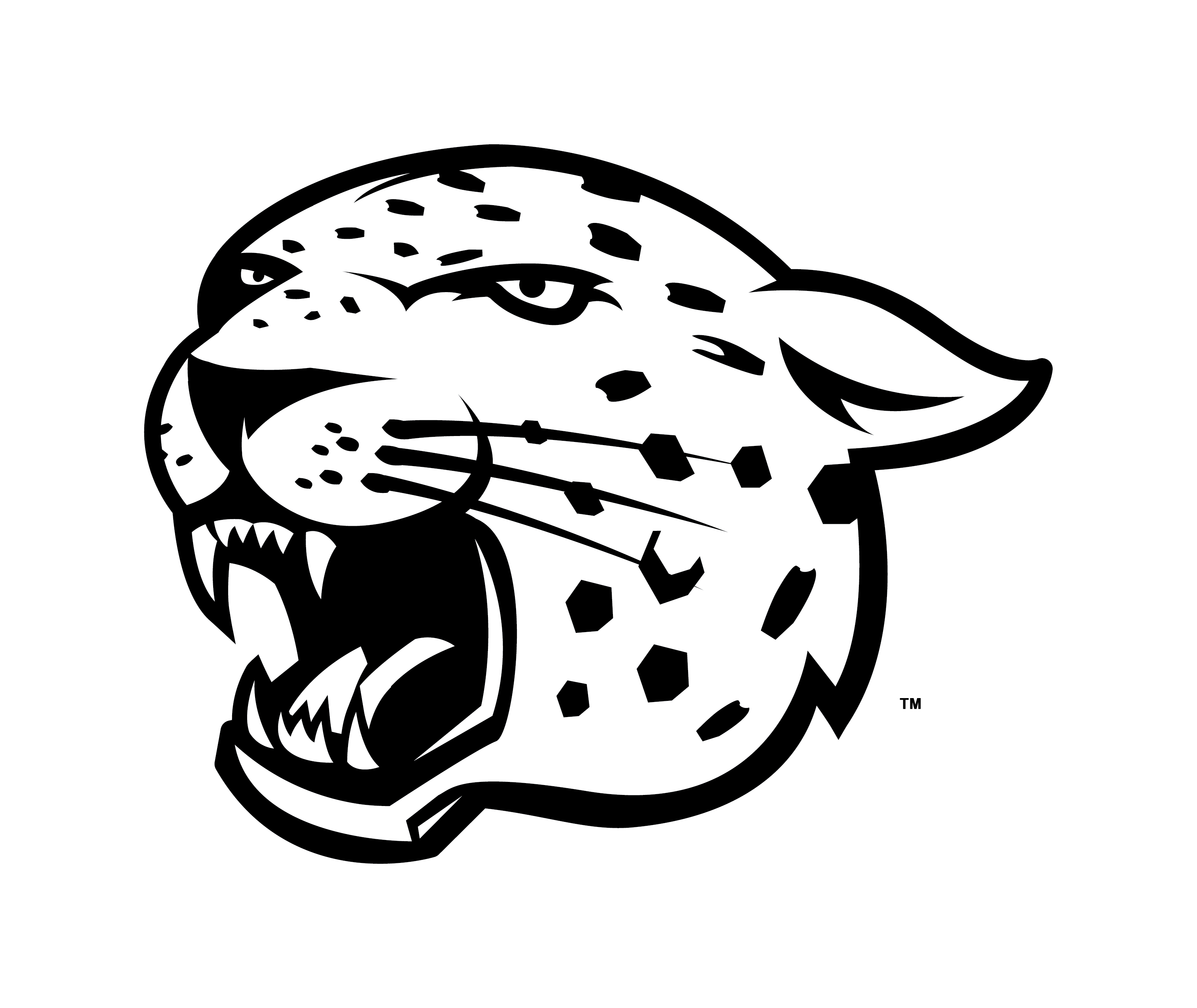 The best free Cheetah vector images. Download from 90 free vectors of