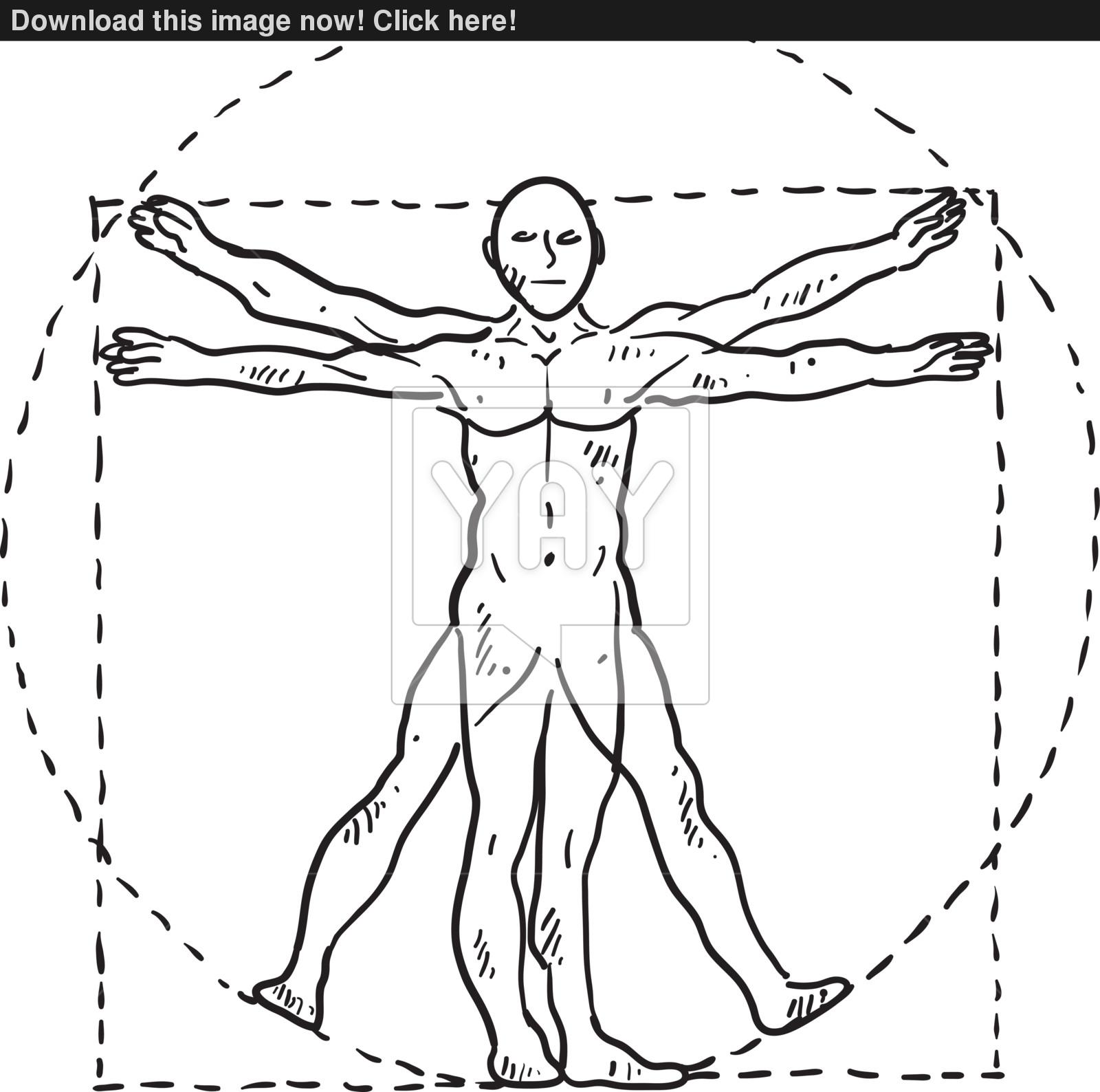 Da Vinci Man Vector at GetDrawings | Free download