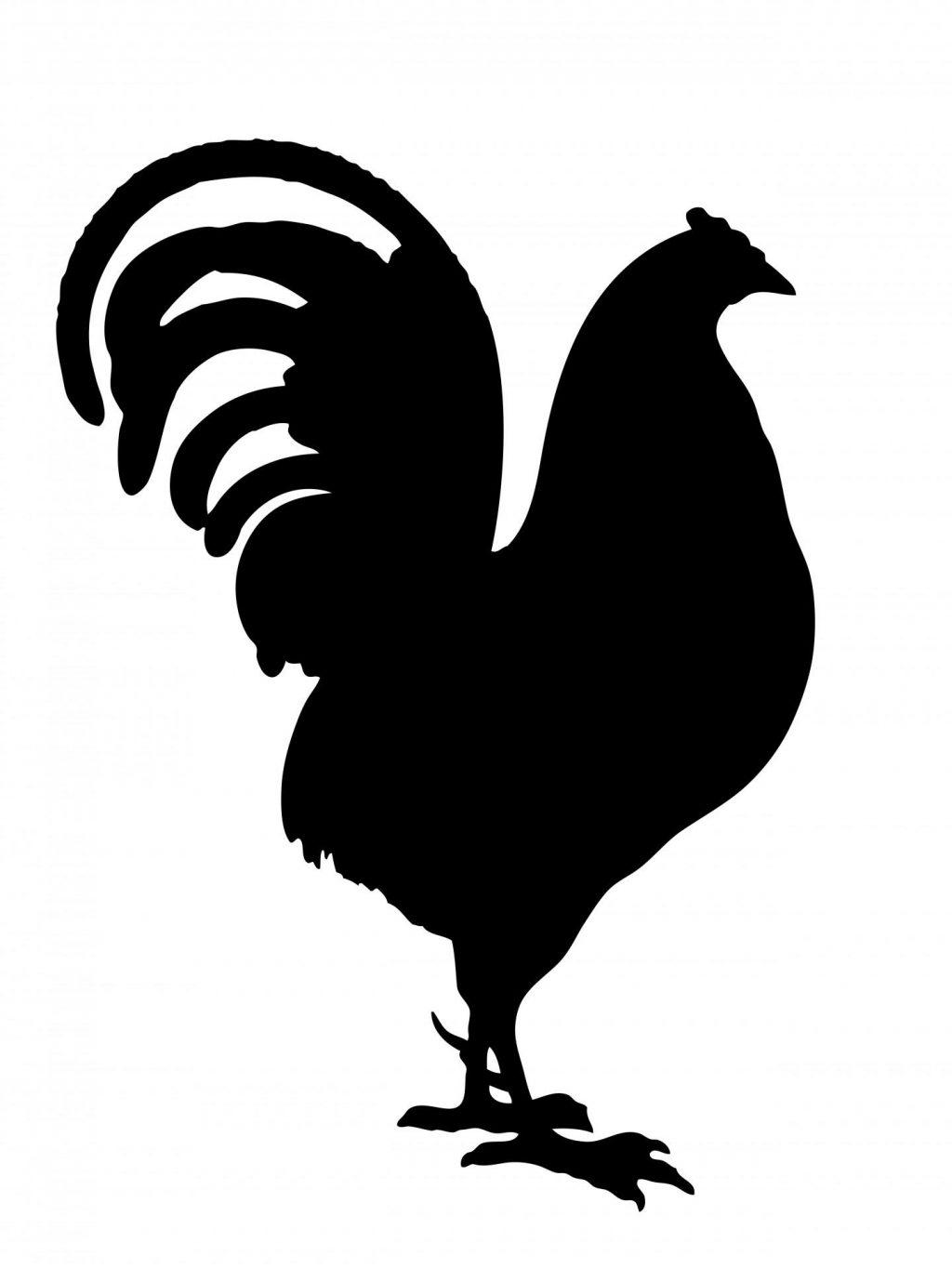 Fighting Rooster Vector at GetDrawings Free download