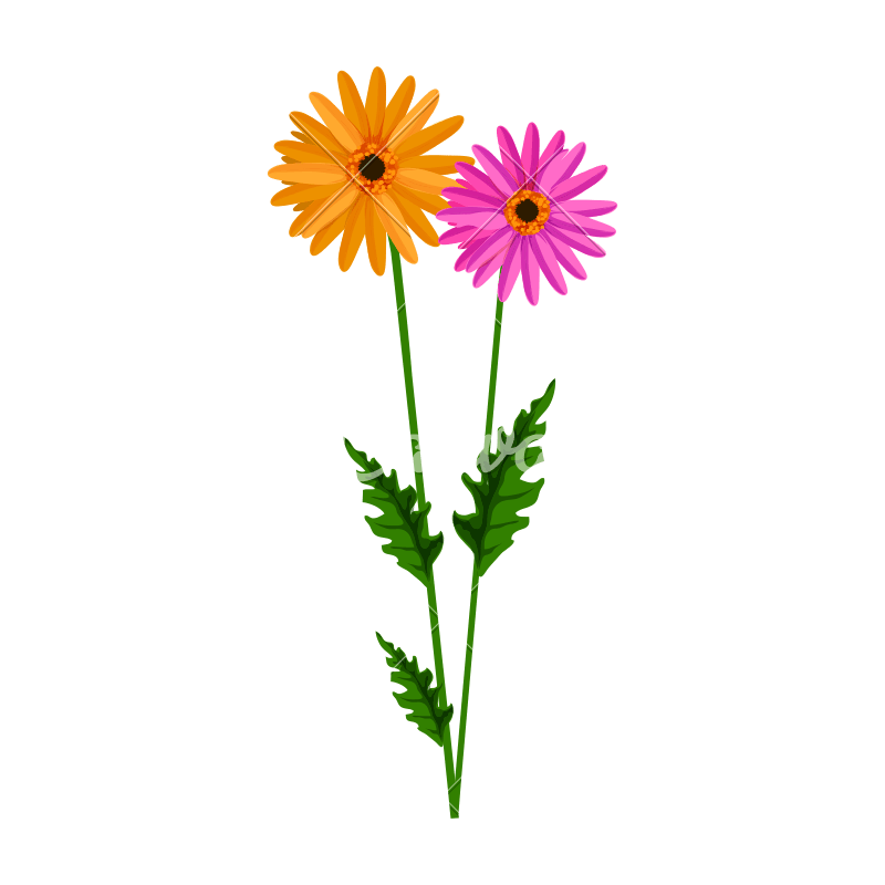 Flower Stem Vector at GetDrawings Free download