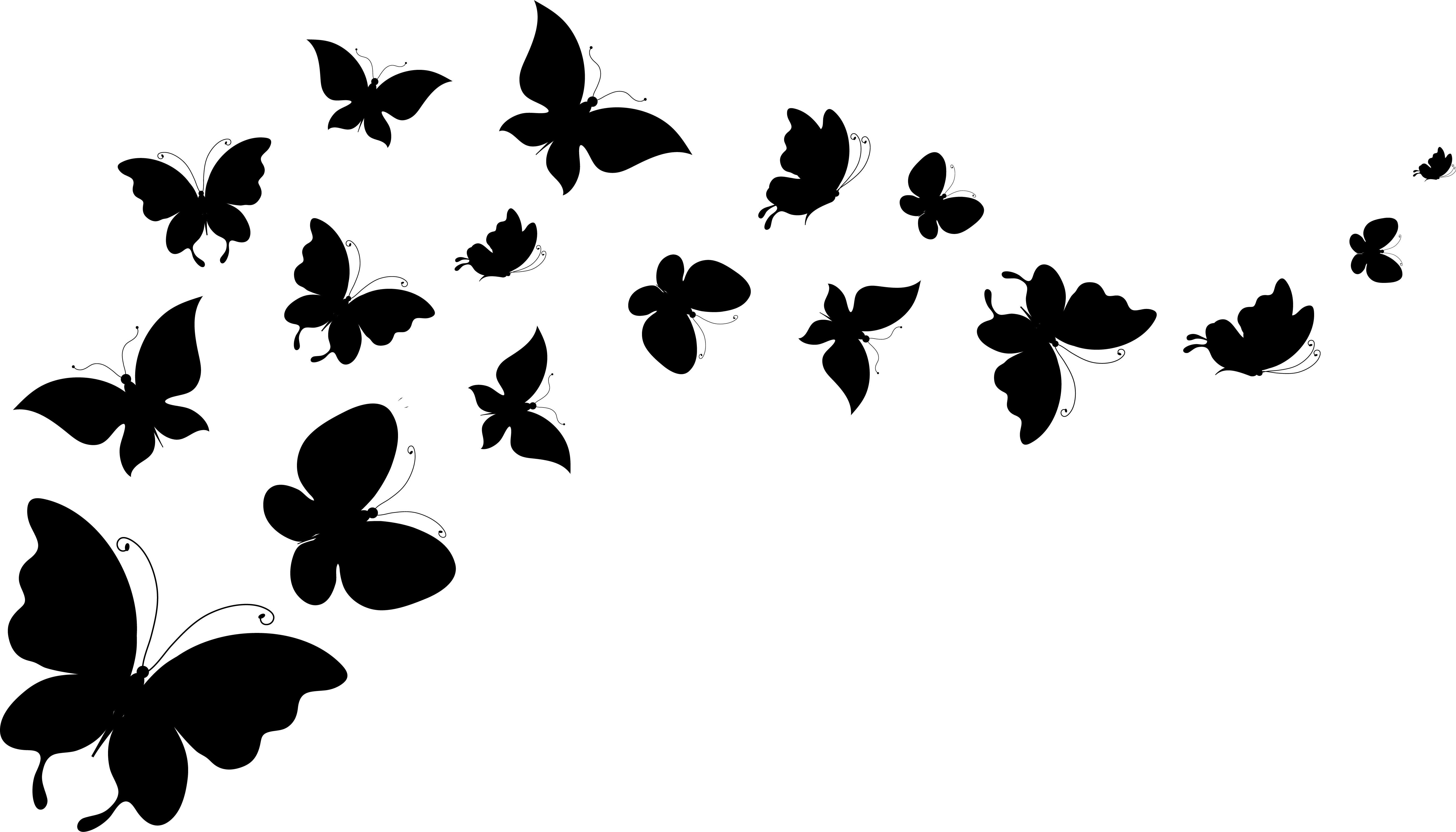 Flying Butterfly Vector at GetDrawings Free download