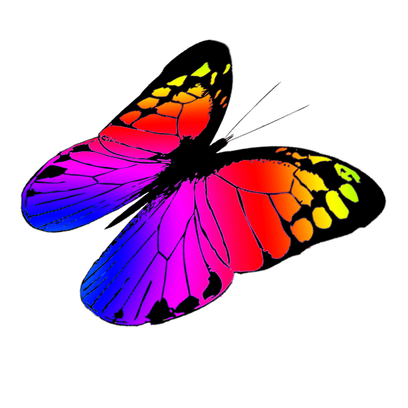 Flying Butterfly Vector at GetDrawings Free download