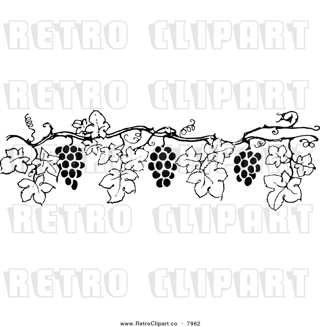 Grape Vine Border Vector at GetDrawings Free download