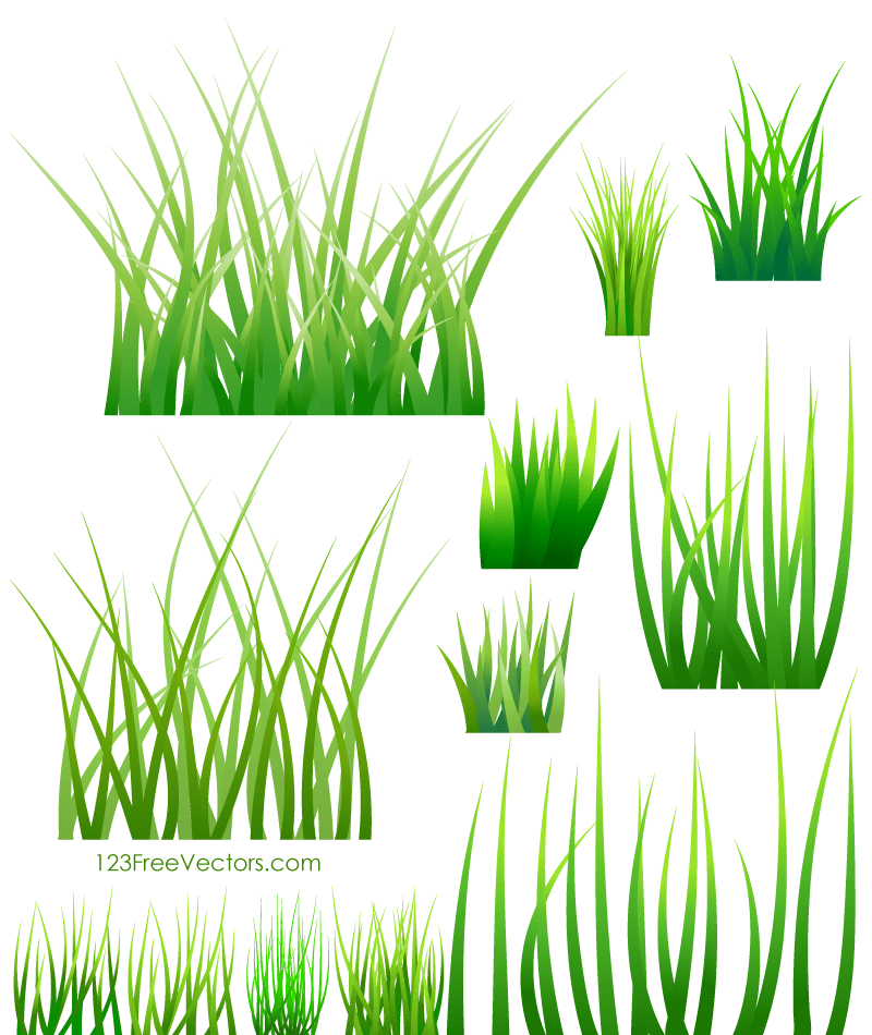 Grass Blades Vector at GetDrawings Free download