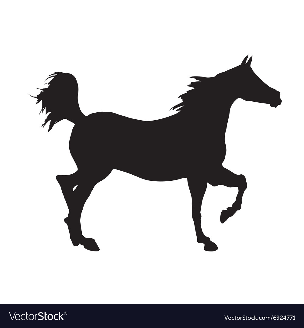 Horse Icon Vector at GetDrawings Free download