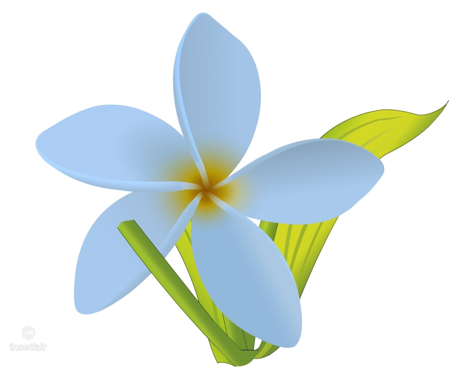Jasmine Flower Vector at GetDrawings Free download