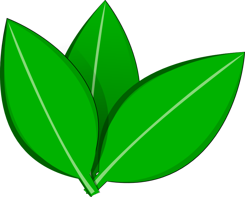 Leaf Vector Png at GetDrawings Free download