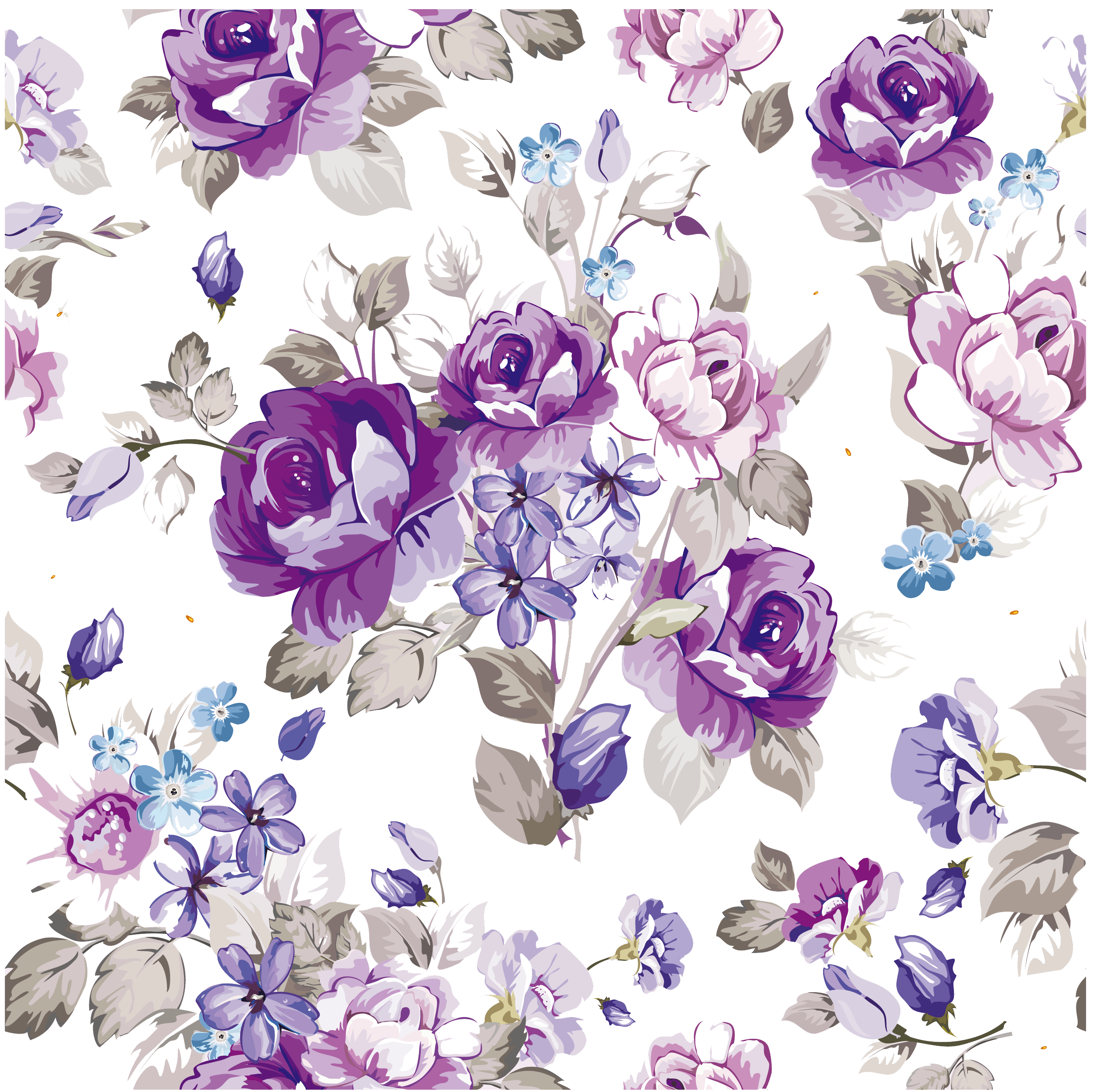 Lilac Vector at GetDrawings Free download