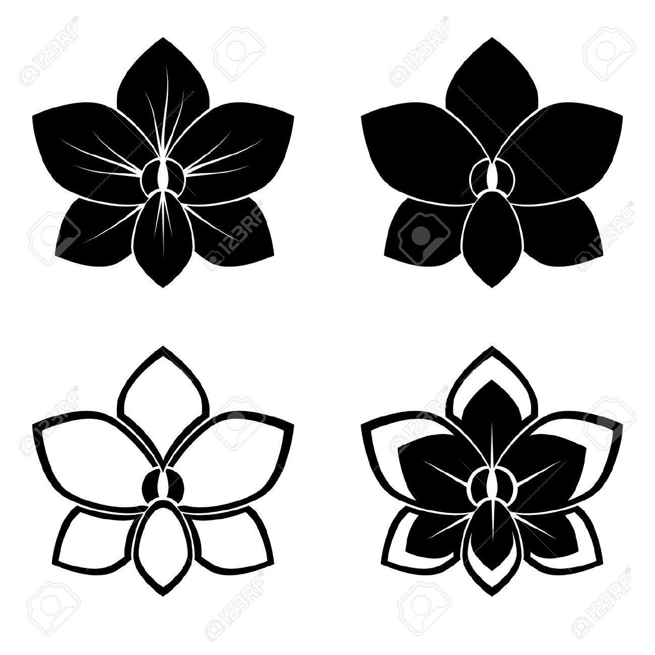 Orchid Flower Vector at GetDrawings Free download