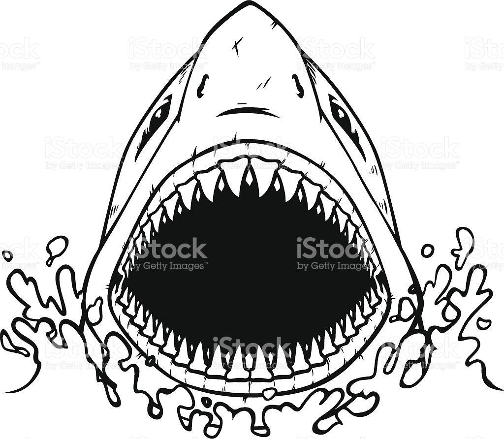 Shark Jaw Vector at GetDrawings Free download