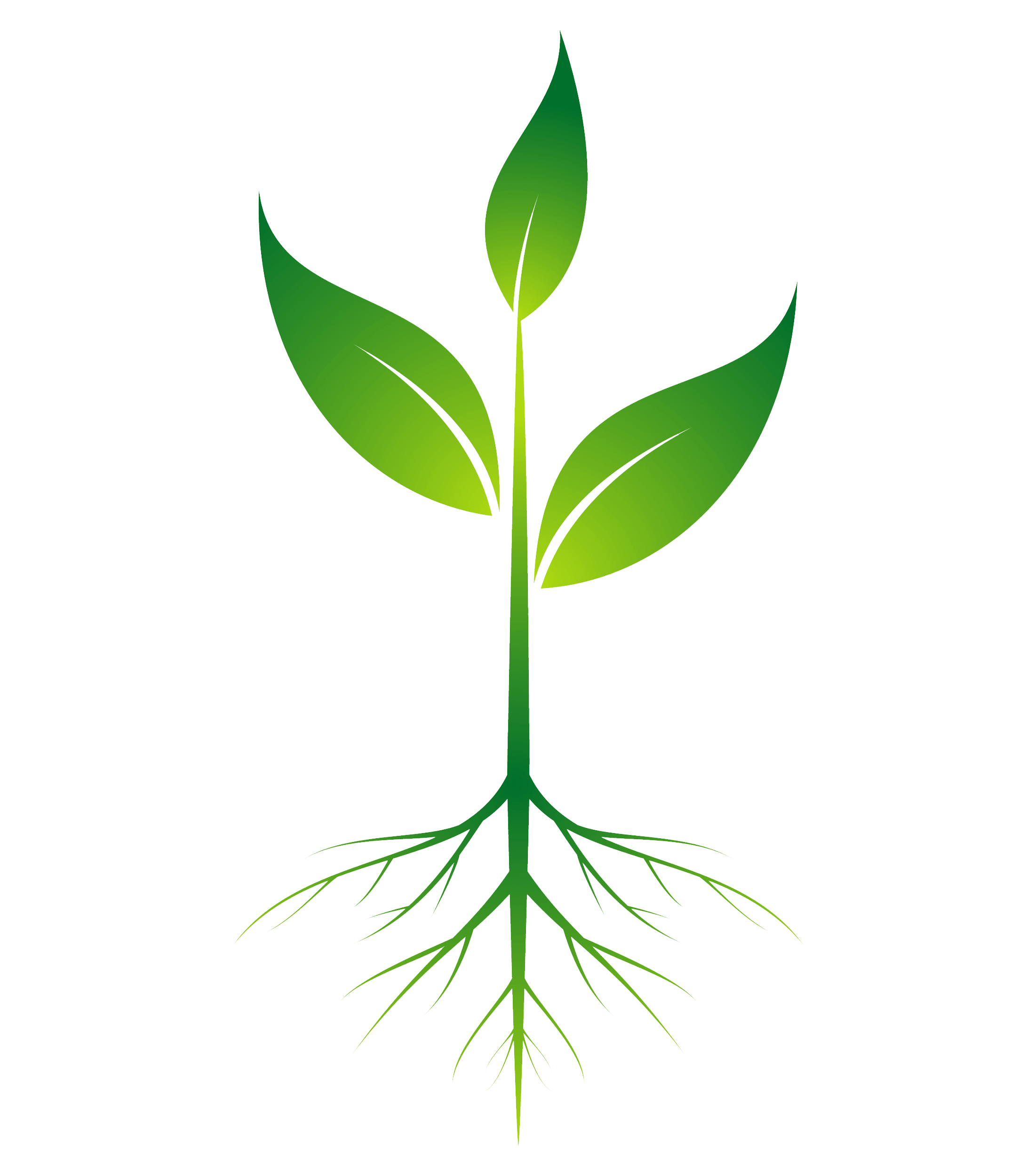 Sprout Vector at GetDrawings Free download