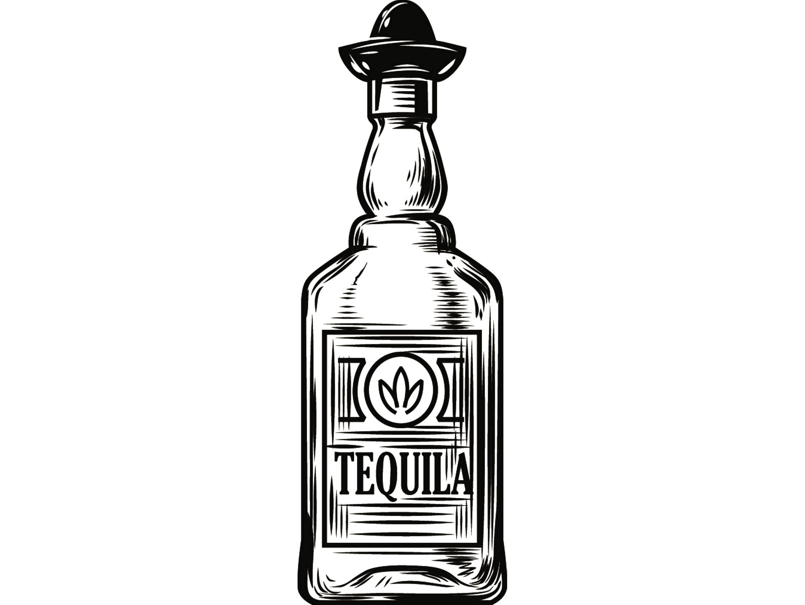 The best free Alcohol vector images. Download from 90 free vectors of