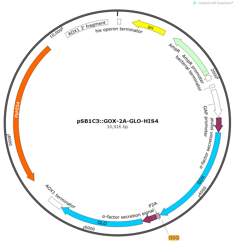 Vector Biology at GetDrawings Free download