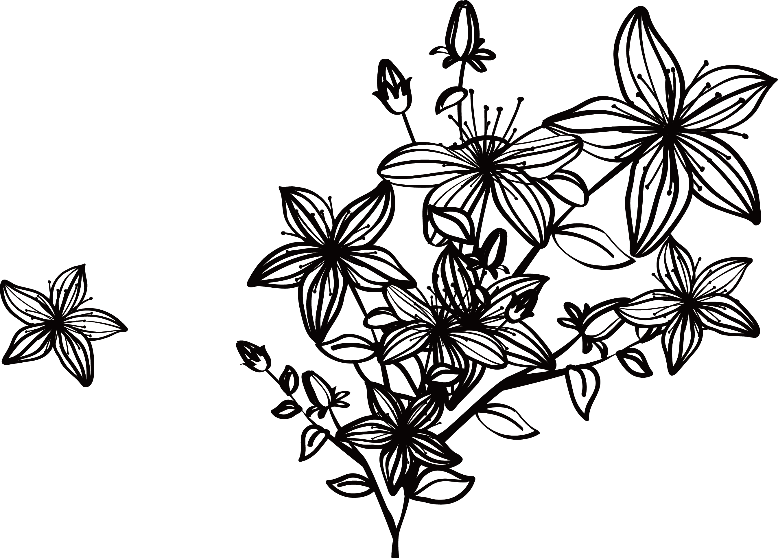 Wildflower Vector at GetDrawings Free download