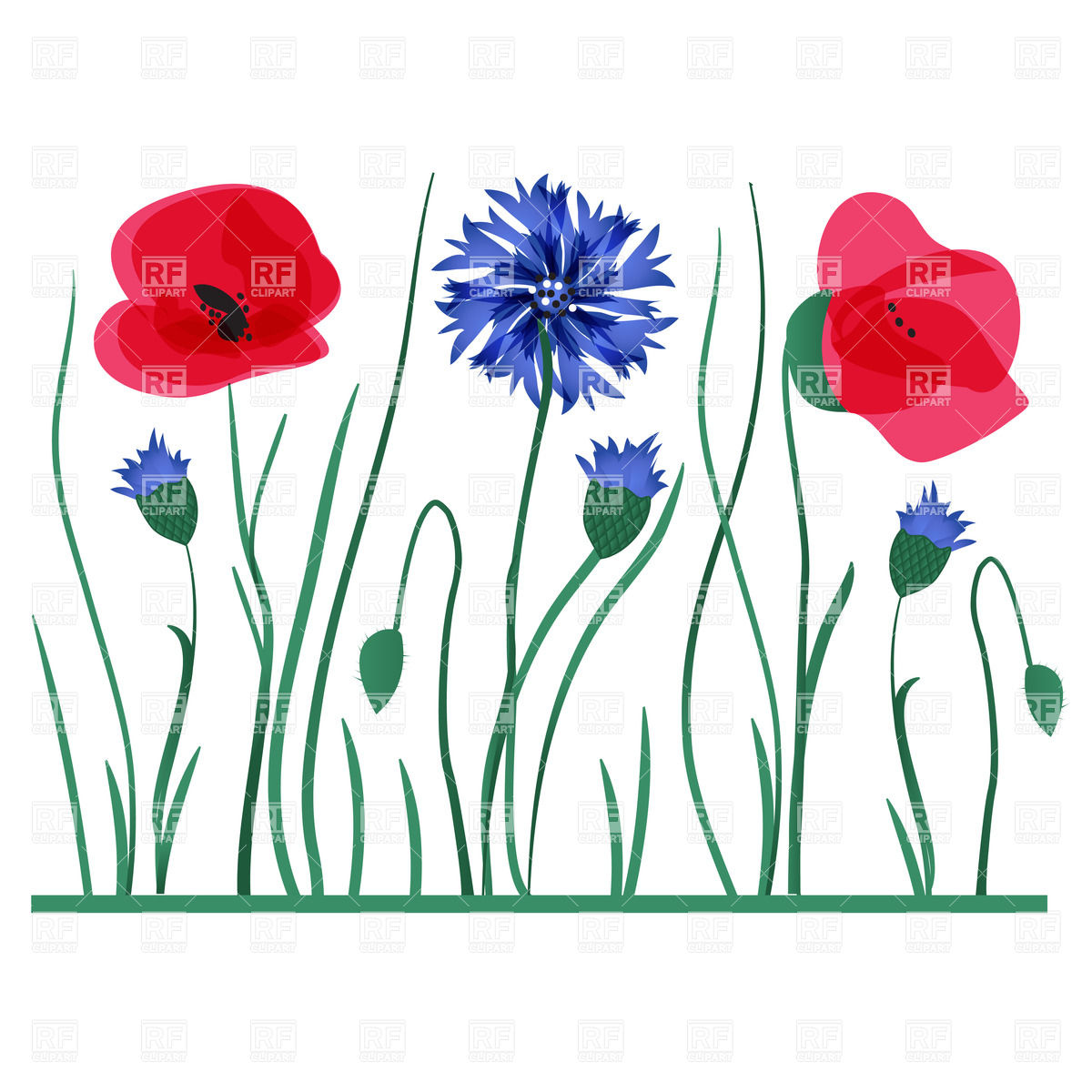 Wildflower Vector at GetDrawings Free download