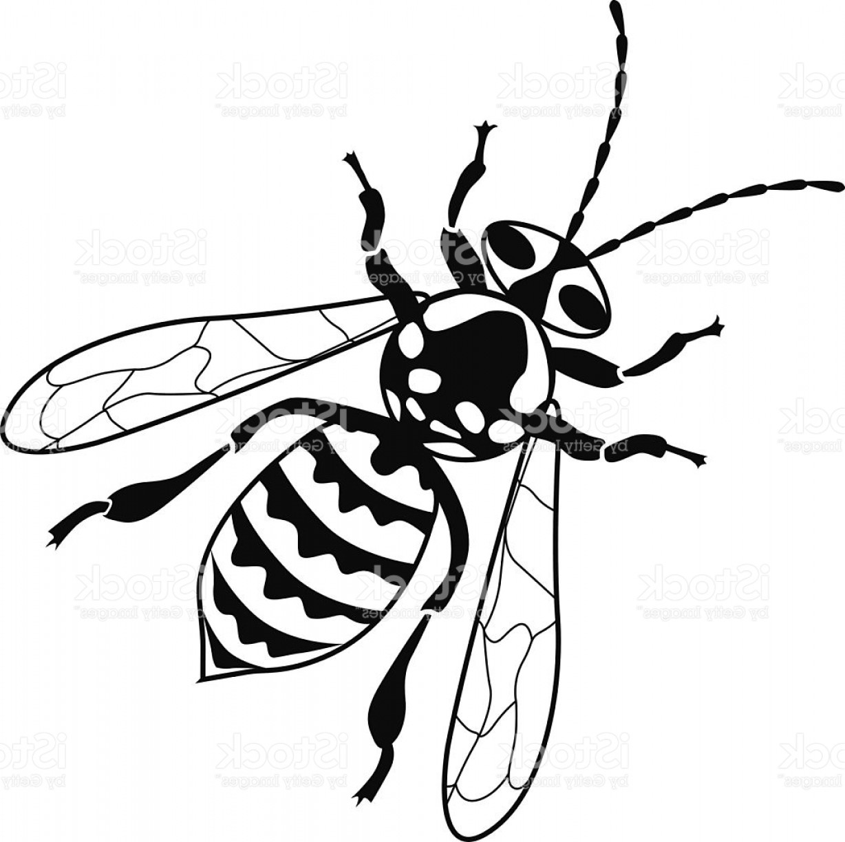 Yellow Jacket Vector at GetDrawings Free download