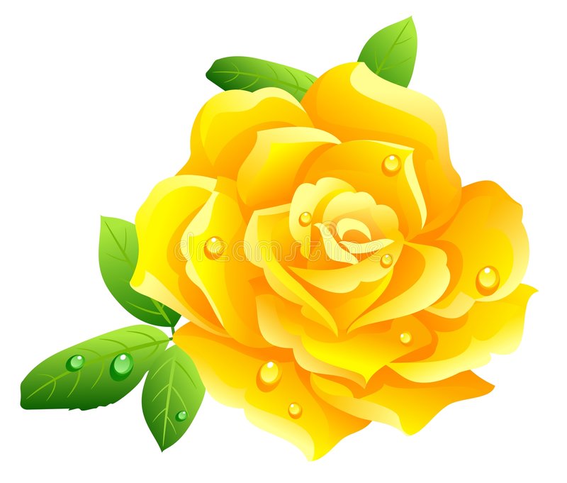 Yellow Rose Vector at GetDrawings Free download