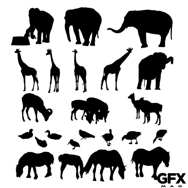 Zoo Animals Vector at GetDrawings Free download