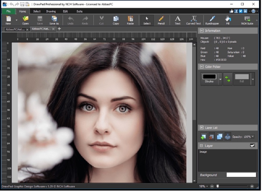 Free Nch Drawpad Downloads Mac