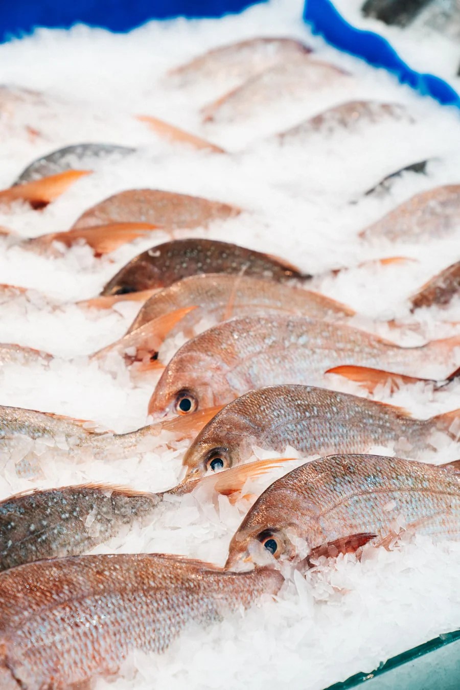 Buy Whole Fish Online Fresh Fish Delivery Sydney, Newcastle
