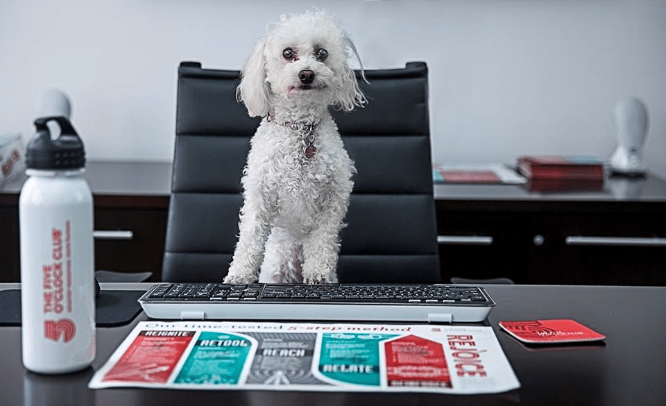 GetFive Careers Work With Us GetFive