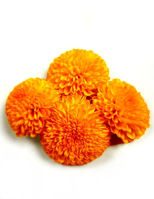 Marigold Orange Flower (Gende Ka Phool) GetFlowersDaily