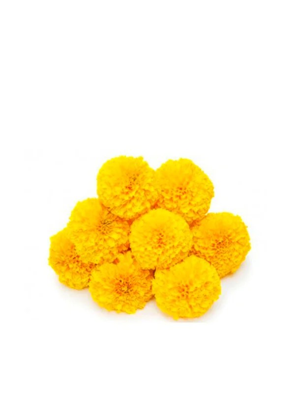 Marigold Yellow Flower (Gende Ka Phool) 250gm GetFlowersDaily