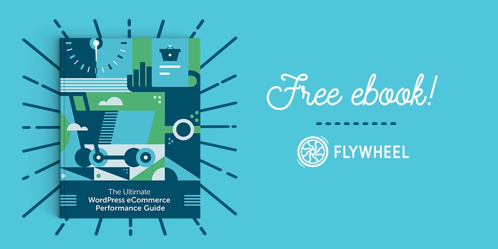 Flywheel The ultimate WordPress performance guide