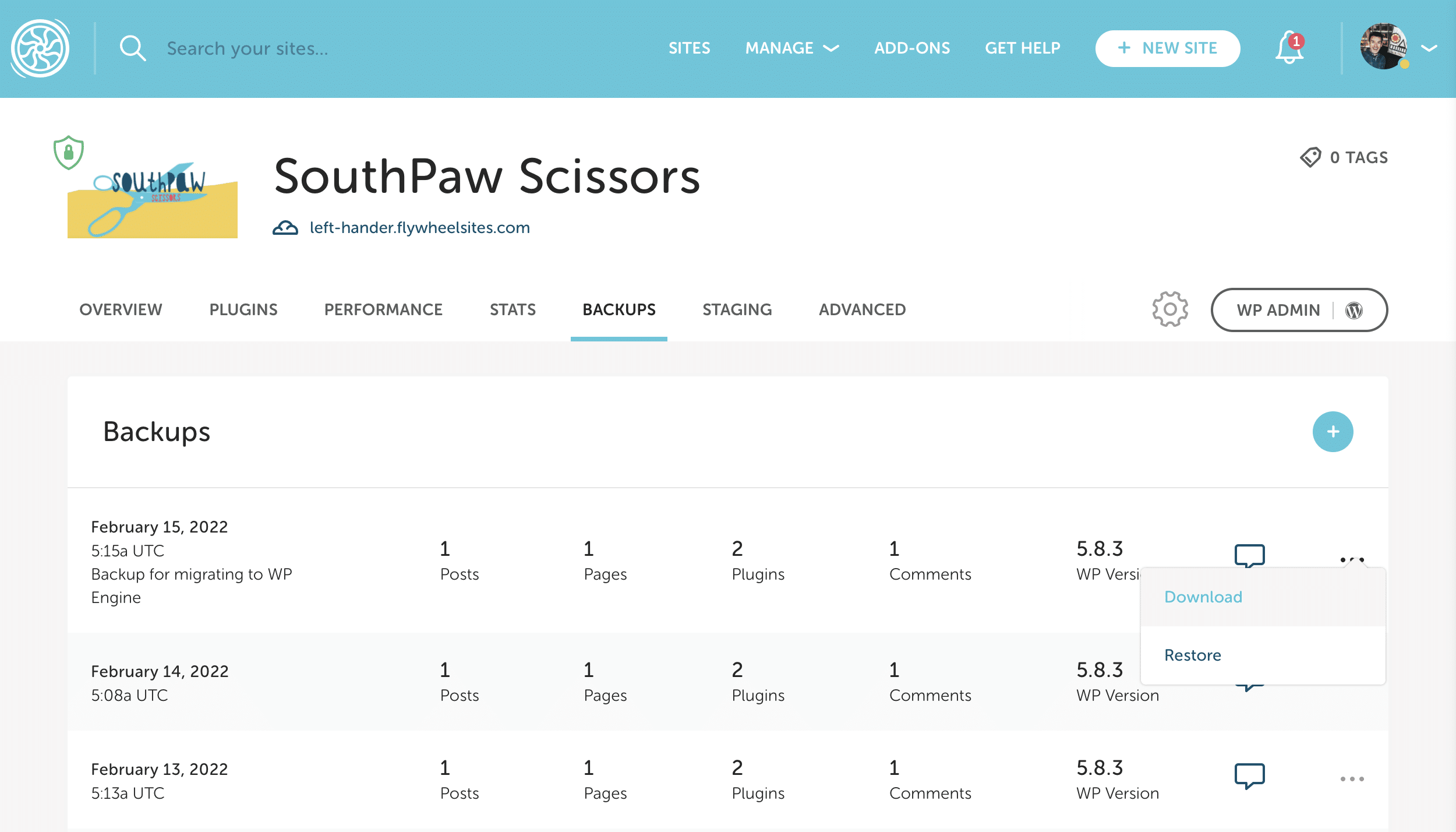 Flywheel Migrate a site from Flywheel to WP Engine