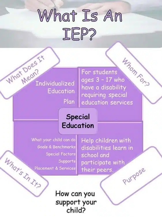 IEP Meaning Goally