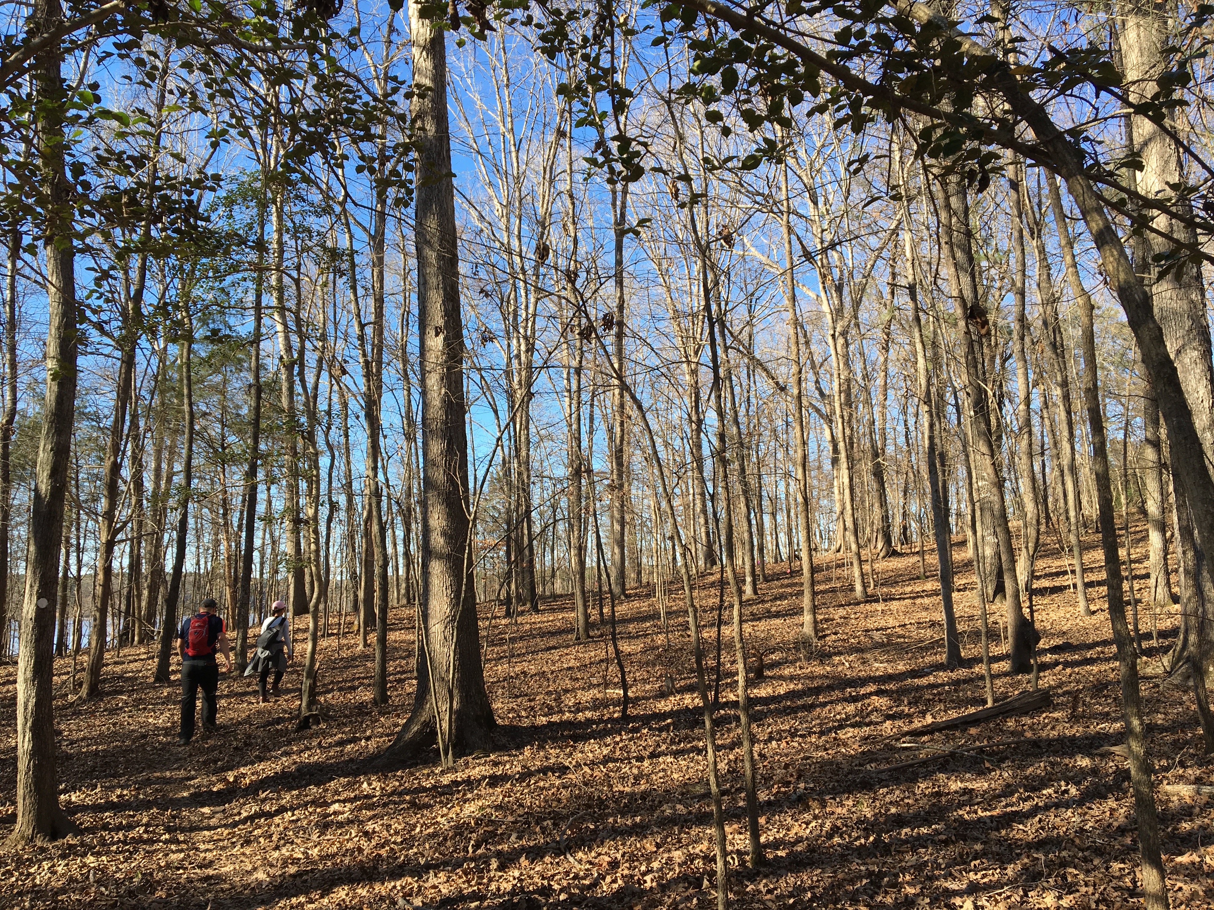 I miss winter GetGoing NC!