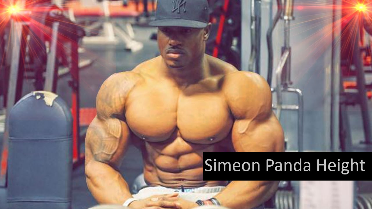 Simeon Panda Wiki Simeon Panda Height, Net Worth, Biography, And More